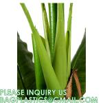 Artificial Banana Tree 6ft Tall 22 Large Leaves Triple Stalk Faux Banana Silk
