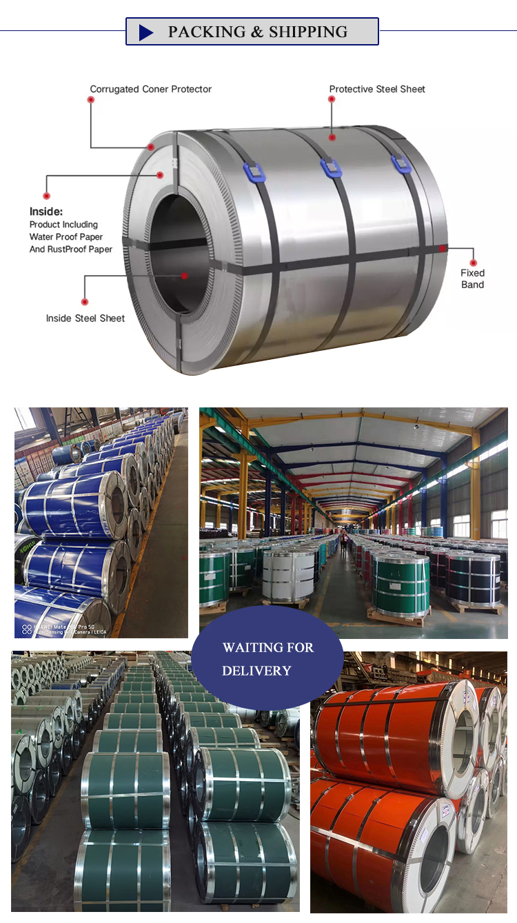 Hot Rolled Cold Rolled Galvanized Color Coated Steel Coil Thickness 0.12-0.4mm Custom Sizes ASTM A653 Grade DX51D Q235B