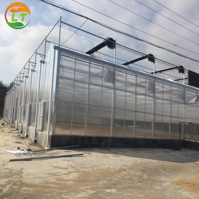 Multi-Span Agricultural Greenhouses with Hot Galvanized Steel Transparent Solar Panels