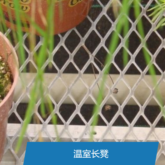 Expanded Steel Mesh Expanded Metal Lath For Industrial Applications