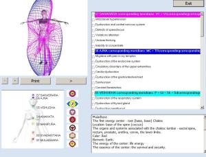 Wholesale 8d Nls / 9d Nls Body Health Analyzer Machine Quantum Bio Resonance from china suppliers