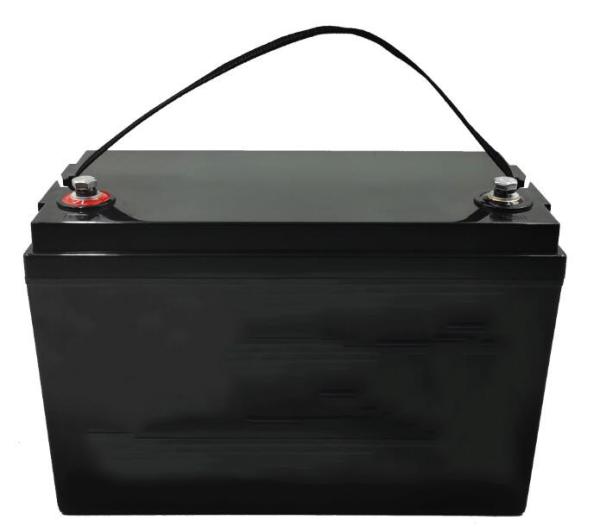 1280Wh Lithium Ion Battery , 12v 100ah Smart BMS Lifepo4 Battery
