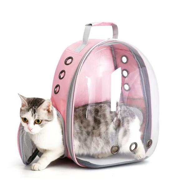Explore the Great Outdoors with Your Furry Friend in Our Dual Strap Transparent Cat Backpack Comfortable and Portable