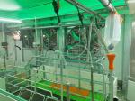 Windproof Steel Structure Pig House Portal Prefabricated Steel Frame ISO9001
