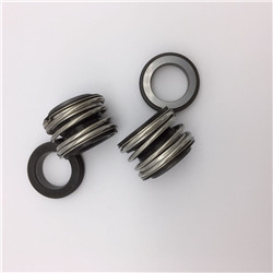 Customizable 6 Bar Pressure Water Pump Shaft Seal