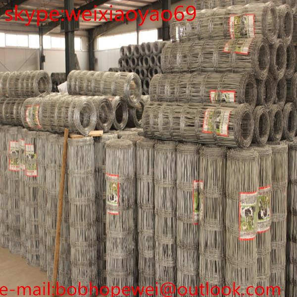 Quality wire mesh for grassland/cattle filed fence/sheep wire mesh fence/galvanized sheep / goat fence mesh for sale