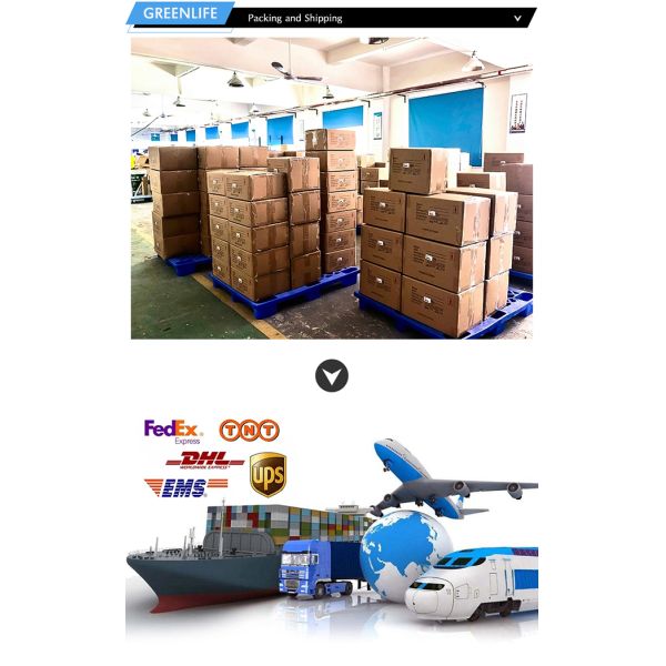 2 Key Universal Jet Ski Safety Lanyard Tether With Soft Wrist Strap