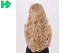 26 Inch Long Wave Noble Blond Synthetic Hair Cosplay Wig No Shedding No Tangle