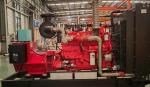 Dual Fuel Generators 20kw 50kw 60kw 80kw 200kva 220v 230v Dynamo Stirling Engine