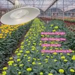 Greenhouse Planting 36W/50W Full Spectrum LED Grow Light with High Luminous