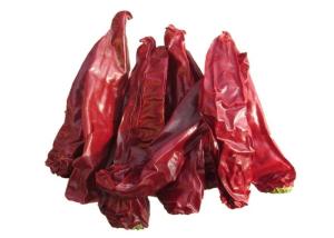 Wholesale Yidu Chili with Pungent Chilli Flavor from china suppliers