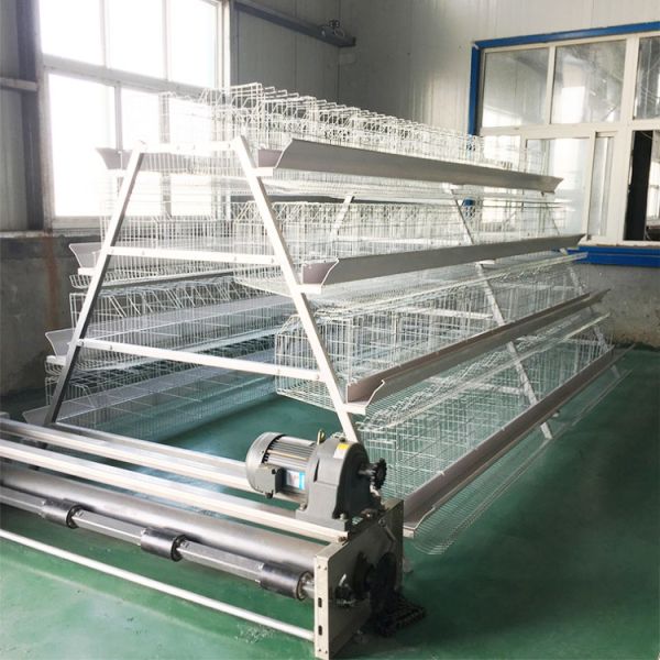 Hot-Dip Galvanized Laying Hen Cage with Automatic Feeding System and Low Maintenance for Poultry Farming