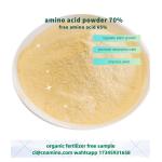 Foliar Amino 70% With Free Amino Acid 65% Agriculture Fertilizer Powder Form For