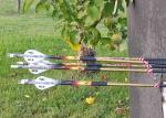 2/3/4/5 Inch Parabolic And Shield Cut Turkey Feathers Fletched Spine 300/400/500