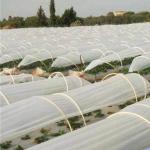 200gsm Agriculture Mulching Sheet PP Non Woven Material