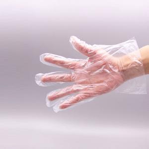 Wholesale 25.5x30cm Disposable PE Gloves CE ISO Certificated Smooth or Embossed Surface from china suppliers