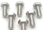 Stainless Steel Hex Bolt SS304 M6 5/16 Inch Passivated Finish Corrosion