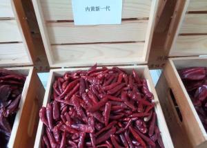 Wholesale Halal Approved S4 Replacement New Generation Dried Red Chilli Peppers 50000SHU from china suppliers