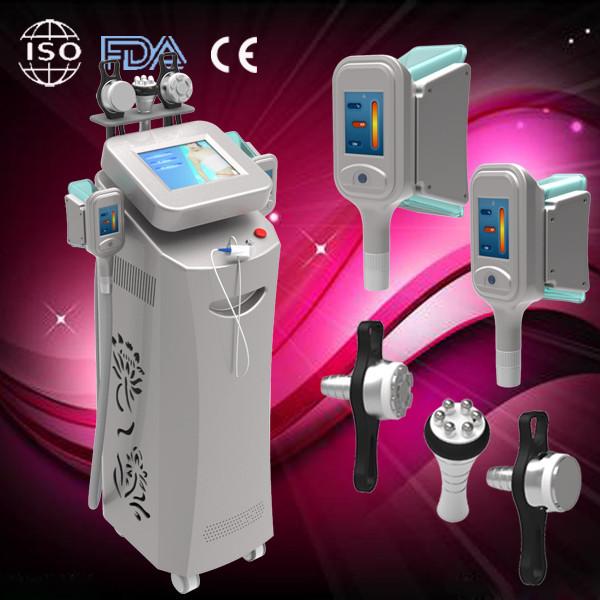 China hot sale beauty equipments professional supplier of cryolipolysis slimming
