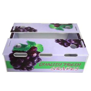 Wholesale High-Performance Fruit Corrugated Boxes for Optimal Agriculture Industry Packaging from china suppliers