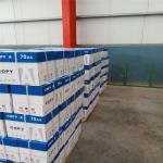 Top Selling A4 Paper 75 80 GSM Jumbo Roll with 45% Surface Gloss and 88%