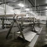 Stainless Steel Chicken Slaughterhouse Equipment Poultry Defeathering Machine