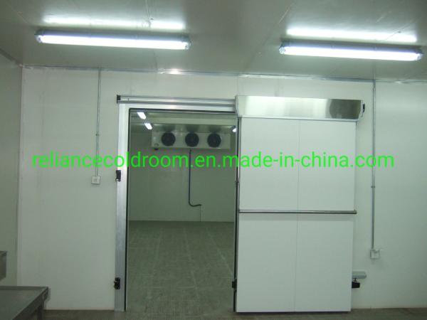Supermarket Frozen Food Storage Room with -10-0C Temperature and Freon