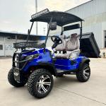 4 Seater Electric Bucket Cheap Small Custom Electric Off-Road Golf Cart With