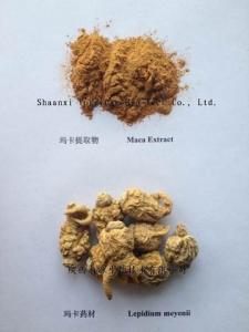 China Maca Extract  10:1 TLC Brown powder  Cistanche tubulosa Extract Epimedium Breviconum P.E. enhance energy on sale