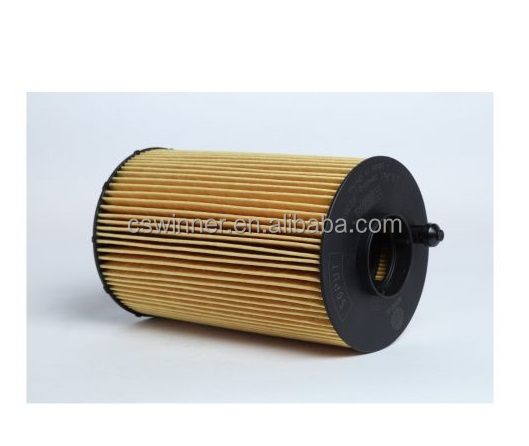 Customized Engine Oil Filter Element 611600070119 61018546