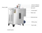 Enligy 12KW Electric Automatic Steam Boiler System 12kg/H High Pressure