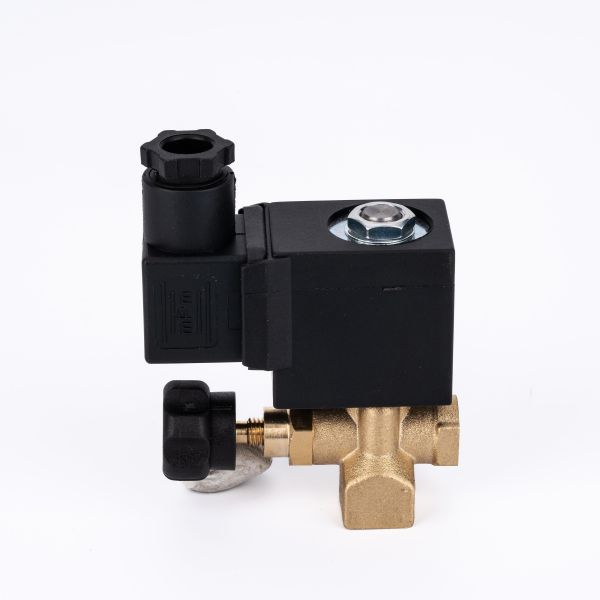 Etrany2Way 1/4in Steam DC24V Brass Material Stop Solenoid Valve Normal Temperature Control Manual 1 Year Warranty ODM/OEM