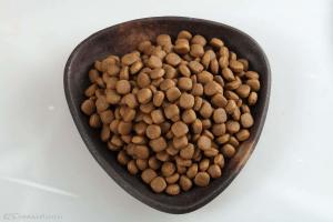 Wholesale 100% Safty and environmental cat food online nature pet food from china suppliers
