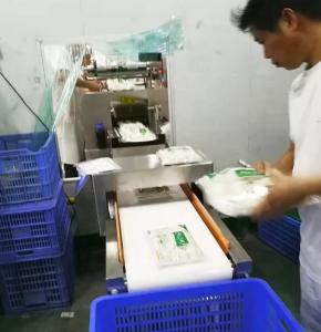 Wholesale Magnetic Induction Food Metal Detector For Bakery Industry FDA Approved from china suppliers