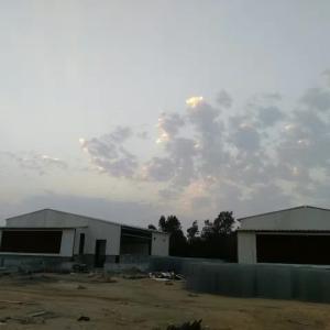 Wholesale Pre Engineered Livestock Farm House Chicken Steel Structure Warehouse from china suppliers