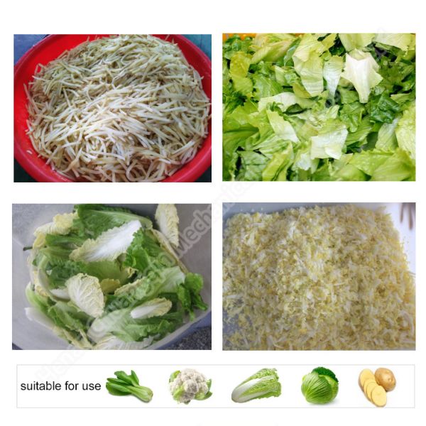 ODM Centrifugal Salad Vegetable Dryer Spinner Machine Horizontal Airflow System