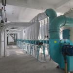 Wheat Flour Mills India 100000 KG Capacity Ideal for Commercial Maize Milling