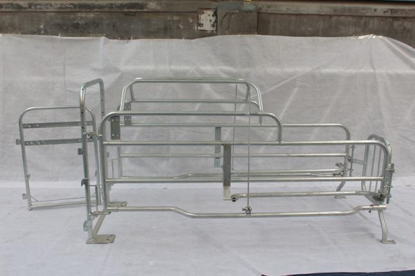 Iron Steel Pipe Sow Farrowing Pens , Swine Farrowing Equipment Any Size