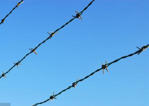 Wholesale Fence Construction Protection 3or 4inch Barb Distance Electro Barbed Wire from china suppliers