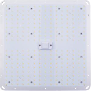 Wholesale Meanwell Driver 2.5μmol/J 48VDC 240W Led Board Grow Light from china suppliers