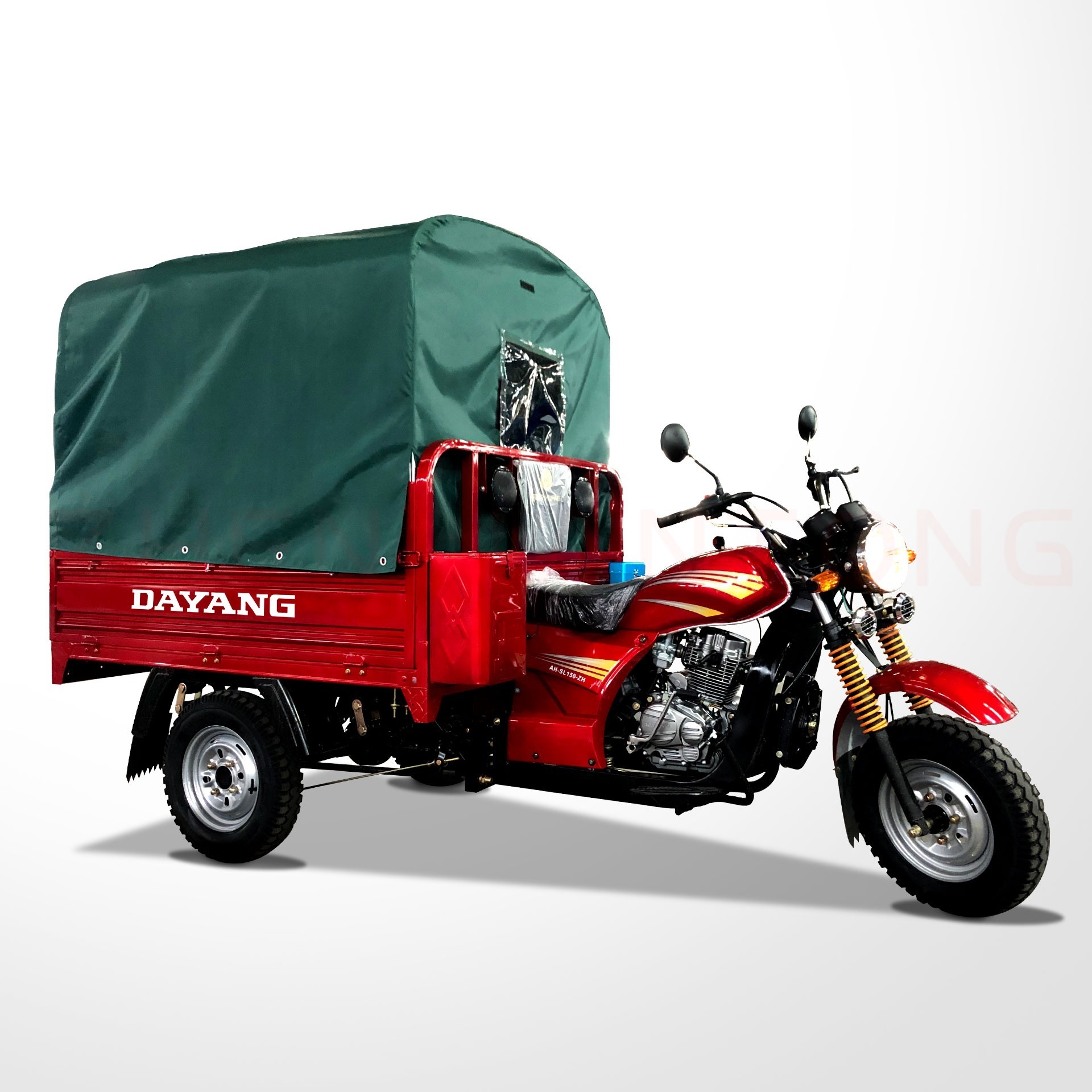 Fuel- 800W Motorized Tricycle with 150cc/175cc/200cc Engine and Tarpaulin Cargo Bike