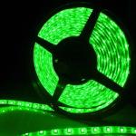 5050 SMD fiexible light 60Led/m,5m 300Led,DC 12V, White,Warm White,Red,Green