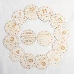 Monthly Milestone Card set 100mm Wooden Discs for Adorable Animals Milestone