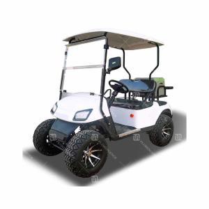 Wholesale Small White Electric 2 Seater Golf Cart Customization from china suppliers