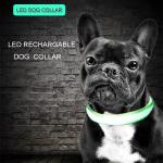 2019 New Pet Product household Nylon Led USB Rechargeable Pet Dog Glowing