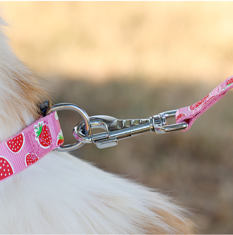 OEM training dog leash Silk Screen Pattern dog training lead