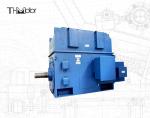3000V 6000V 1500rpm Flameproof Electric Motor Asynchronous P44 IP54 IP55