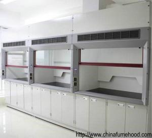 Wholesale AC 220V Microbiology Fume Hood In The Lab Corrosion Resistant from china suppliers
