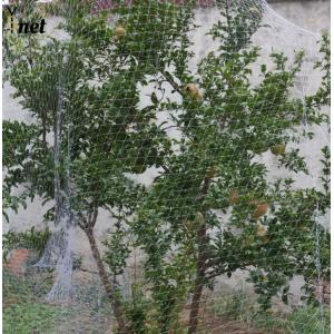 Wholesale Nylon Bird Proof Net White Bird Proof Garden Netting Lightweight from china suppliers