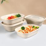 Disposable Party Dinnerware Take Away Salad Box 850ml 1100ml 1300ml Sugarcane
